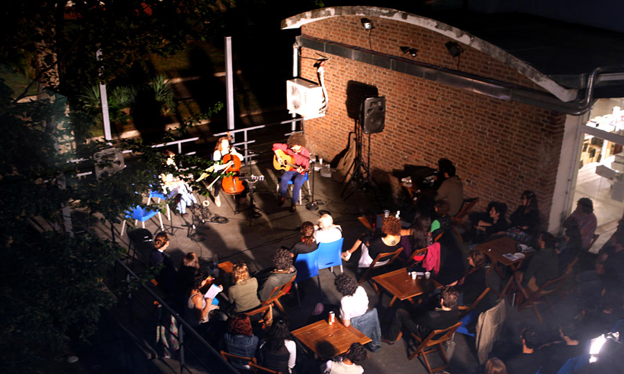 Poesía en la Terraza #29 Cisnes en deshielo