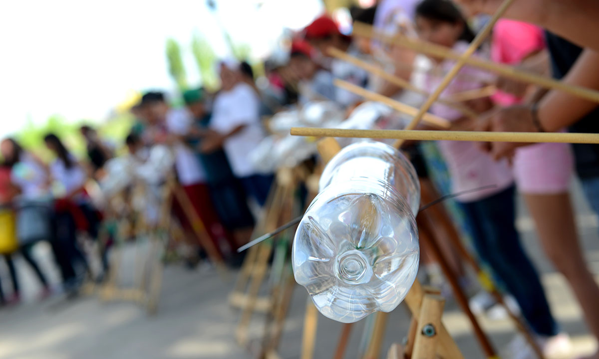 Lutheria salvaje / Taller de construcción de instrumentos